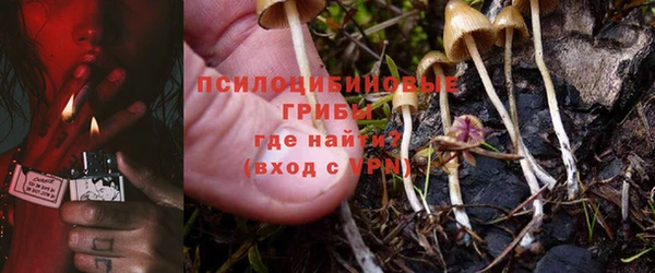 героин Пересвет
