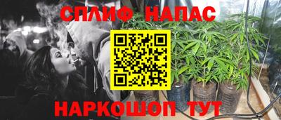 a pvp Будённовск