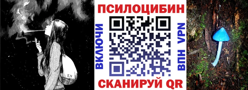 Галлюциногенные грибы MAGIC MUSHROOMS  закладка  Барнаул 