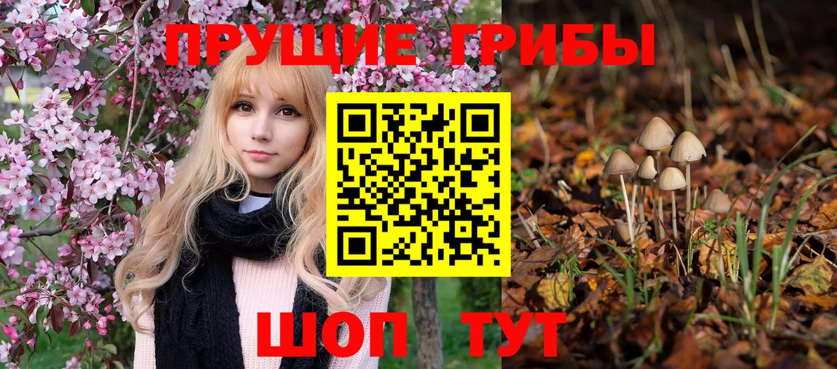 Галлюциногенные грибы MAGIC MUSHROOMS Барнаул
