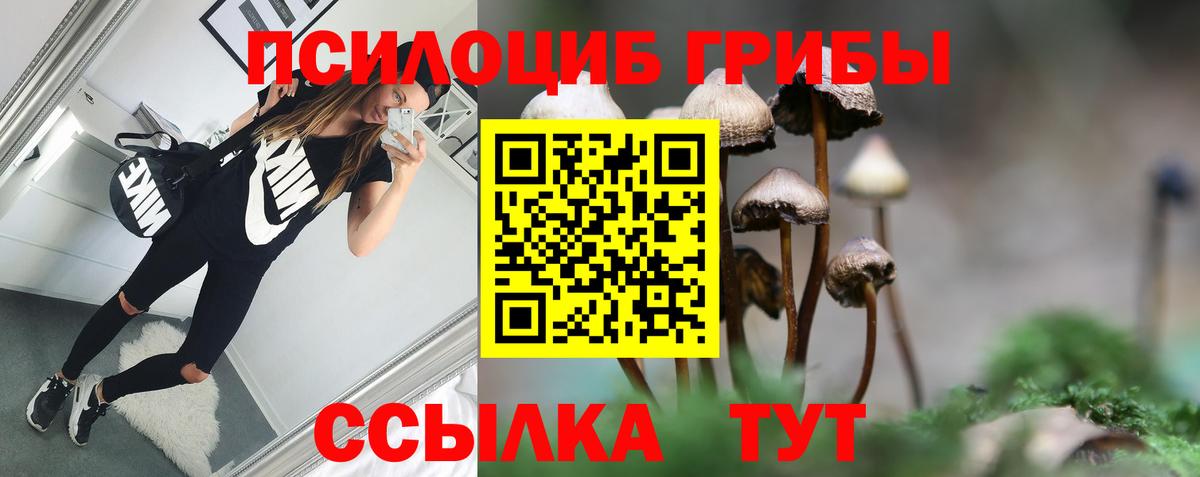 Псилоцибиновые грибы Cubensis  даркнет сайт  Псилоцибиновые грибы Cubensis  Барнаул 
